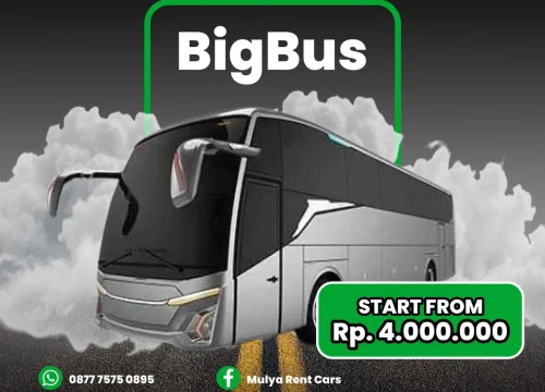 Bigbus