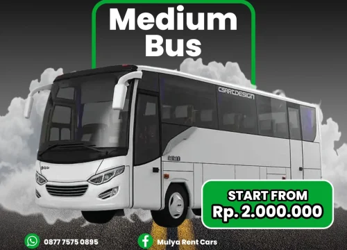 Medium Bus